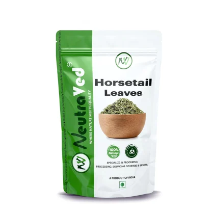 Horsetail Leaves image 1